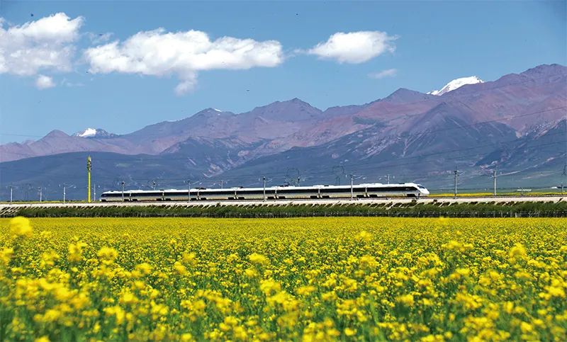 張玉卓、國資、央企、國資委、書記、主任、國企、企業(yè)改革